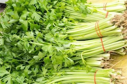 芹菜營養(yǎng)價(jià)值品及分類上海蔬菜配送