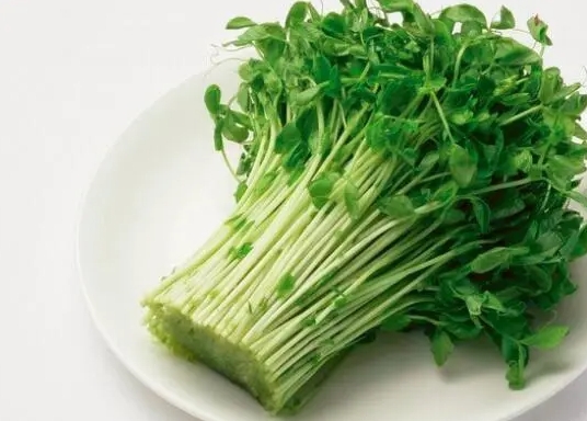 什么樣食材配送公司才稱(chēng)得上專(zhuān)業(yè)